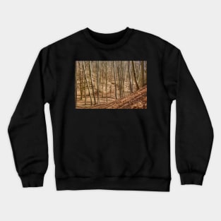 Landscape with beech forest on springtime Crewneck Sweatshirt